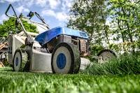 Tipps für einen gesunden Rasen: So pflegen Sie Ihre Grünfläche optimal