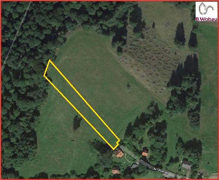 ***Bergwiese mit 3.540 m² in Braunlage-Hohegeiß, Am Brande***PROVISIONSFREI